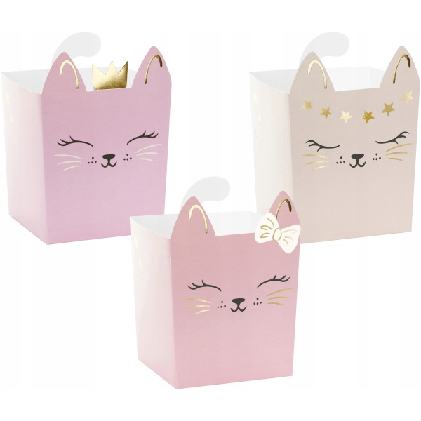 SNACKESKER GODTERI POPCORN KATT BURSDAG-3 STK-6849